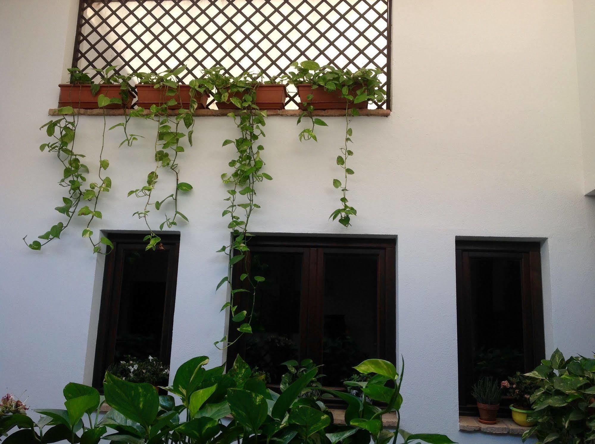 Hotel Boutique Alma Andalusi Cordoue Extérieur photo